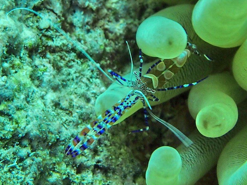 Curacao 04-12 057.jpg